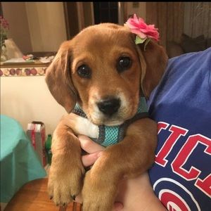 Meet your Posher, Emmy